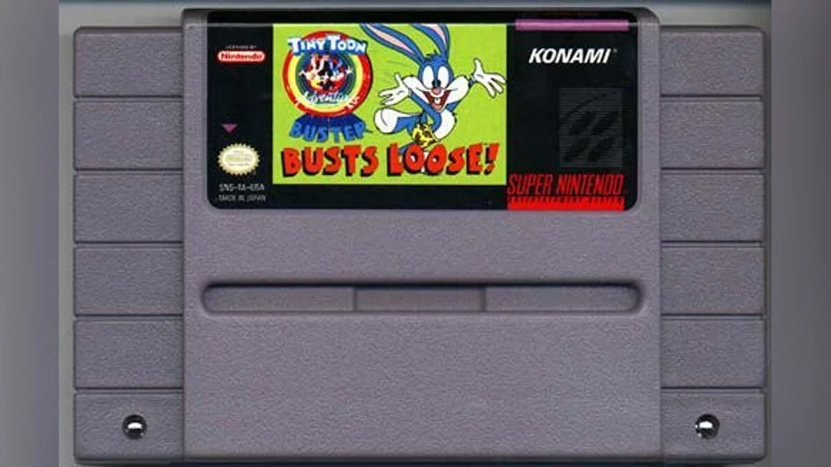 Скриншот из игры Tiny Toon Adventures - Buster Busts Loose! - 3