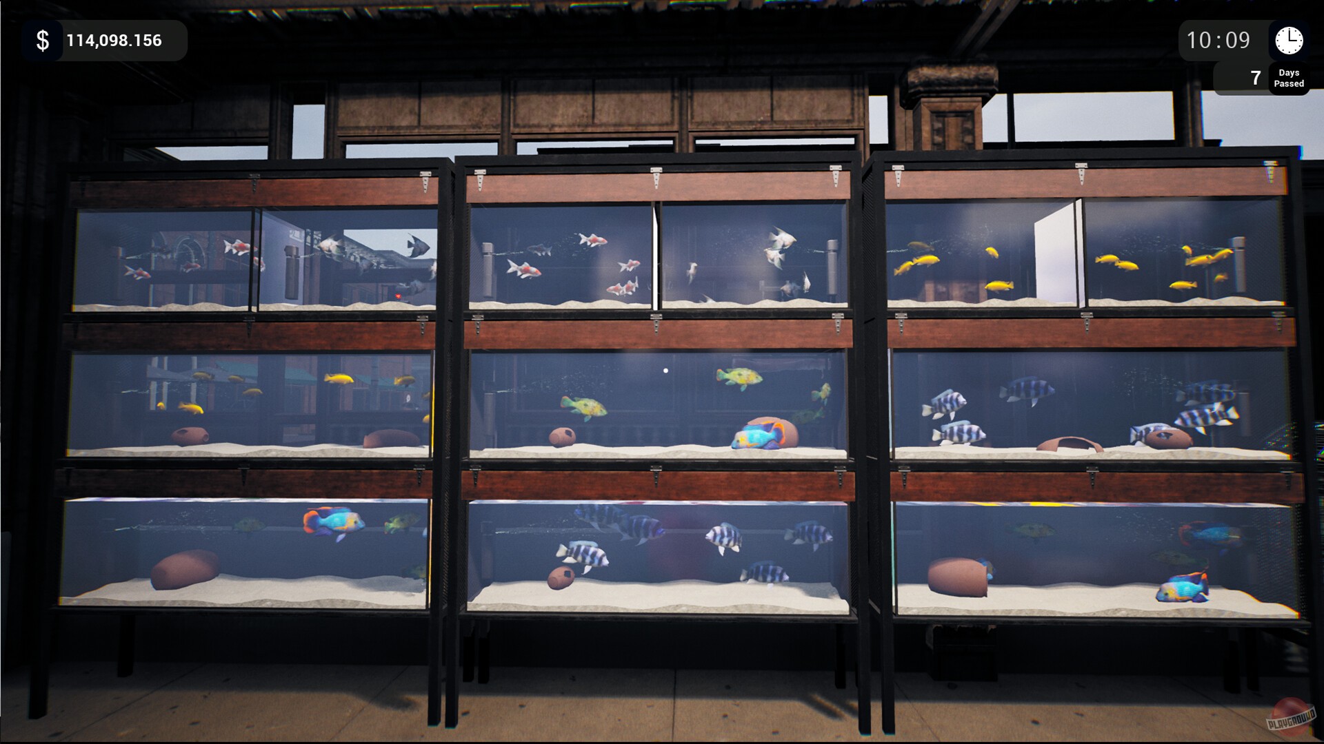 Скриншот из игры Exotica: Petshop Simulator - 1