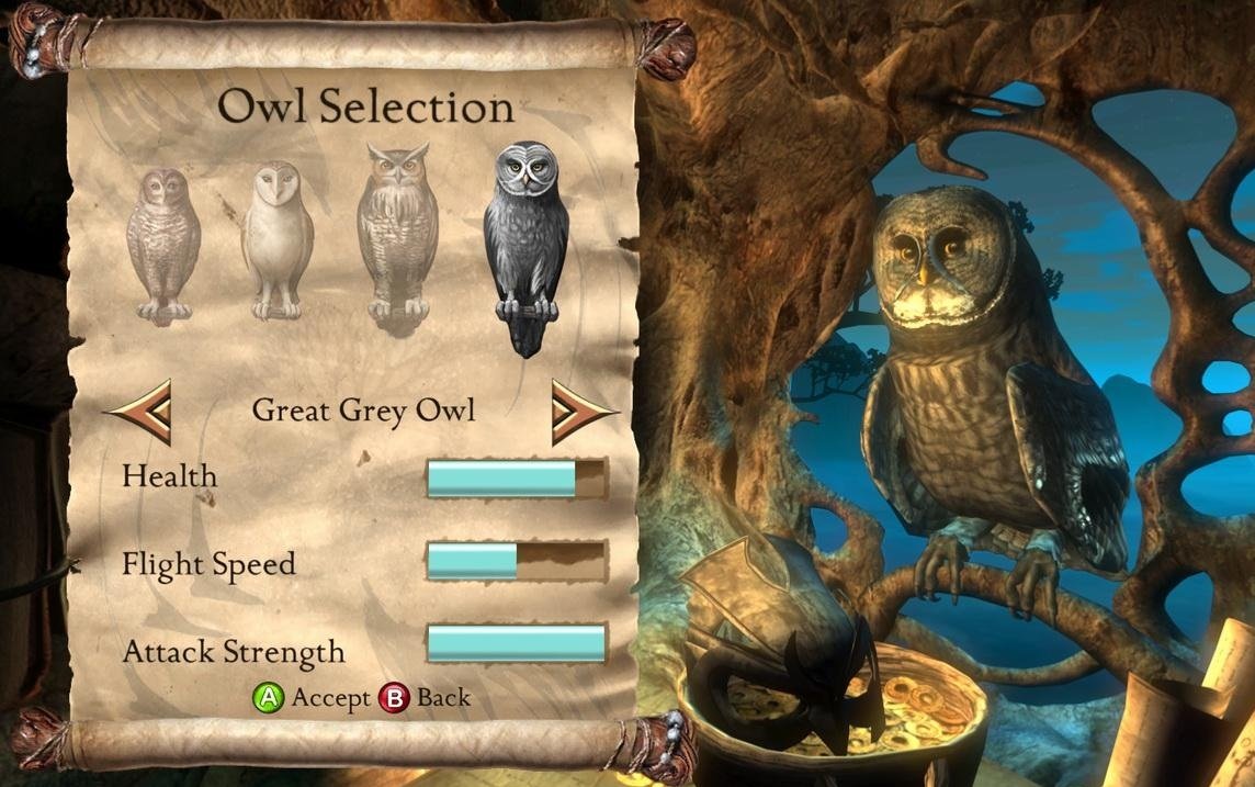 Скриншот из игры Legend of the Guardians: The Owls of Ga'Hoole The Videogame - 6