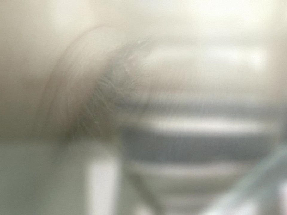 Скриншот из игры TRAUMA - 28