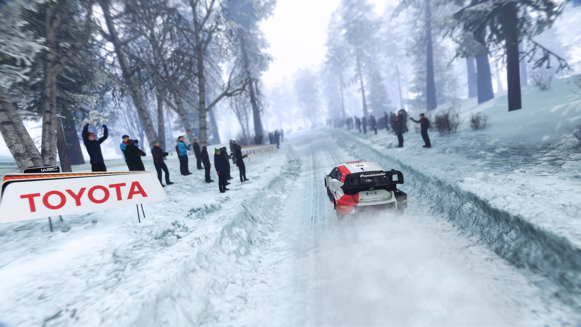 Скриншот из игры WRC Generations - 9