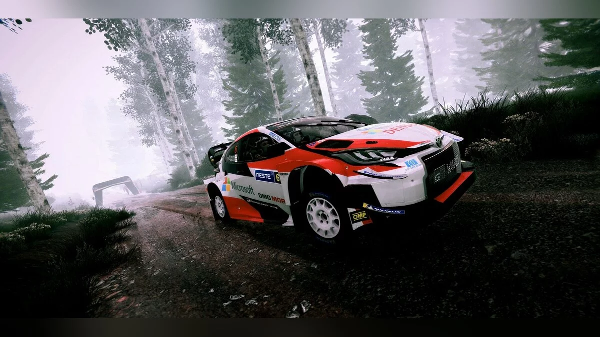Скриншот из игры WRC 9 - 28