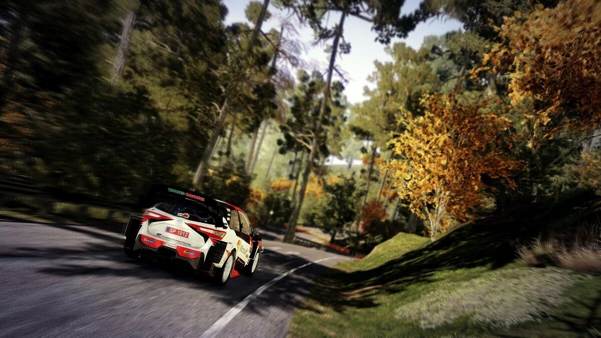 Скриншот из игры WRC 9 - 32