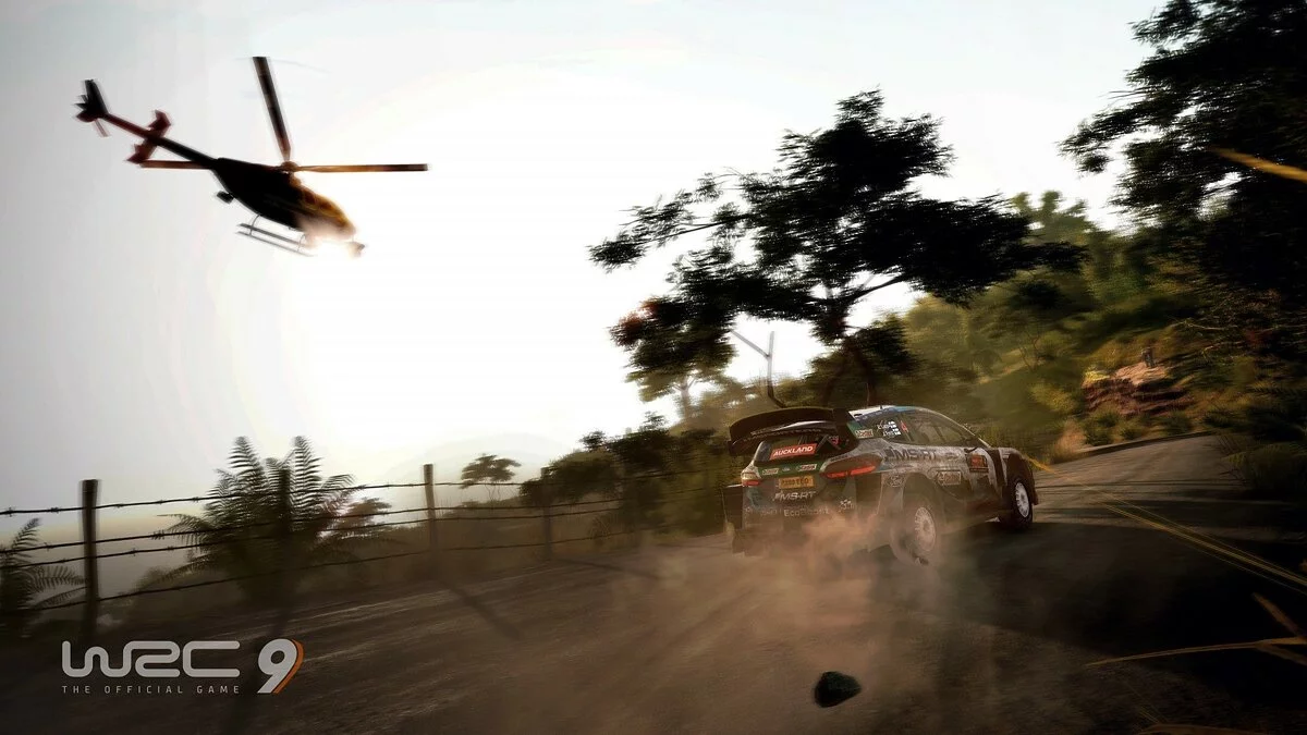 Скриншот из игры WRC 9 - 22