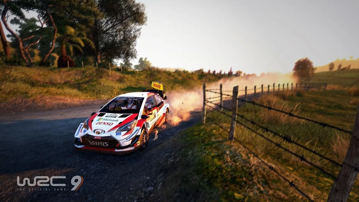 Скриншот из игры WRC 9 - 20
