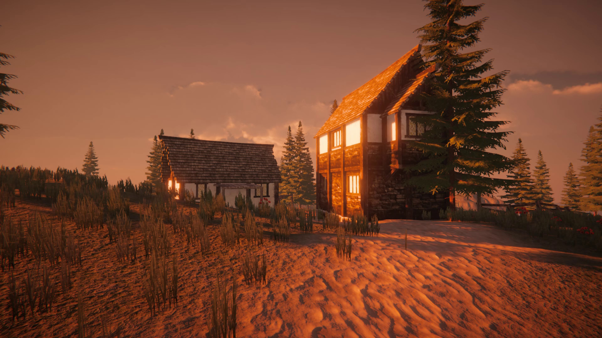 Скриншот из игры Wild Dose - 3