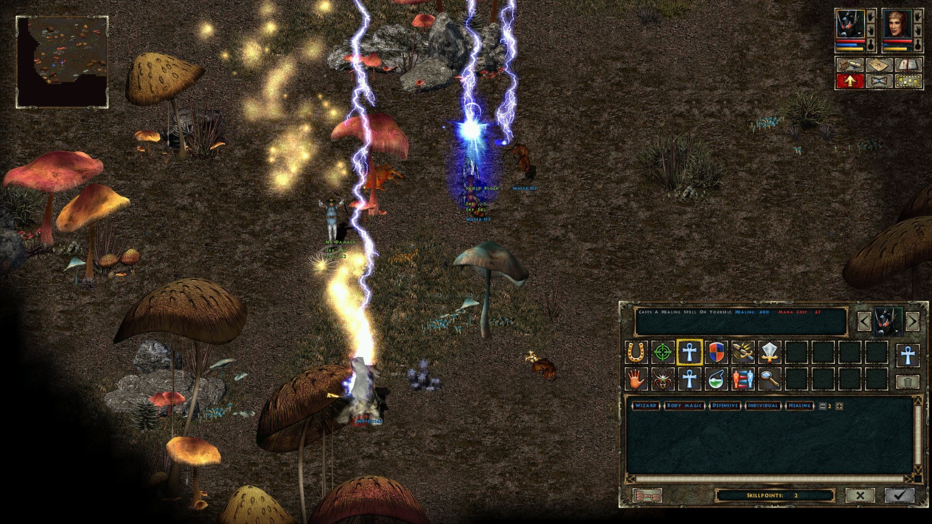 Скриншот из игры Beyond Divinity - 32