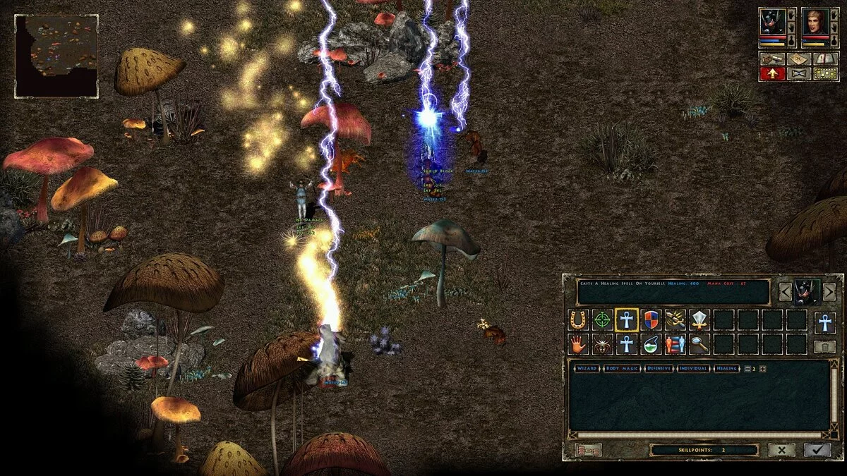 Скриншот из игры Beyond Divinity - 9