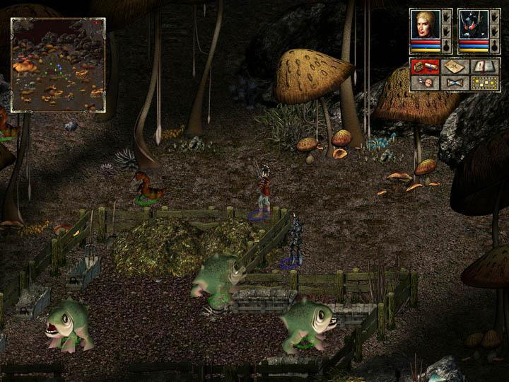 Скриншот из игры Beyond Divinity - 34