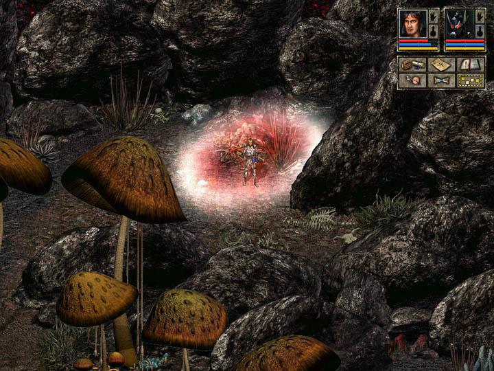 Скриншот из игры Beyond Divinity - 7