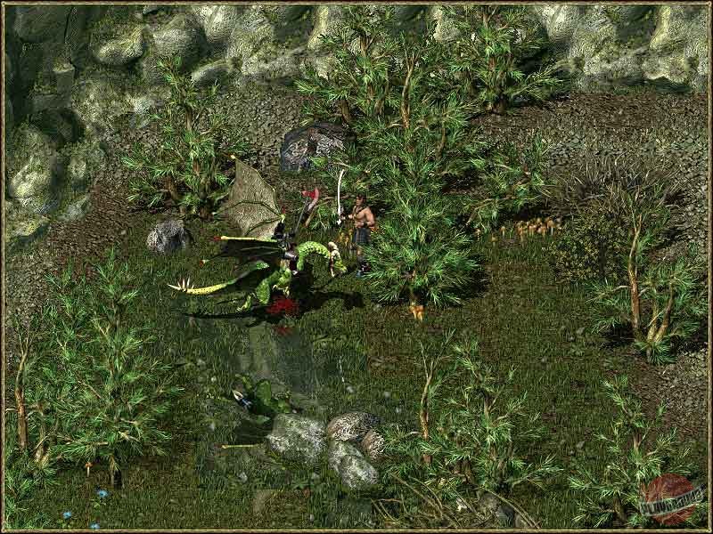 Скриншот из игры Divine Divinity - 63