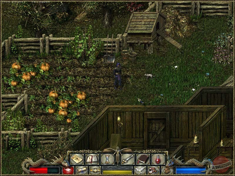 Скриншот из игры Divine Divinity - 53