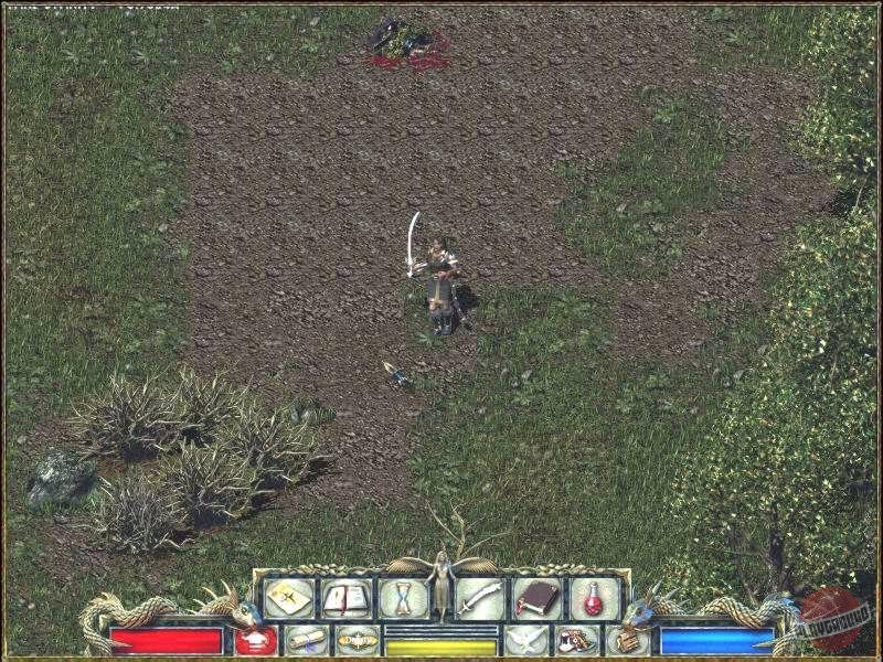 Скриншот из игры Divine Divinity - 14
