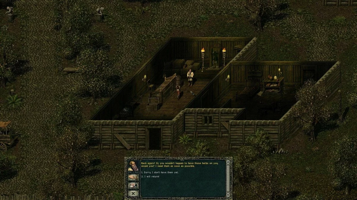 Скриншот из игры Divine Divinity - 12