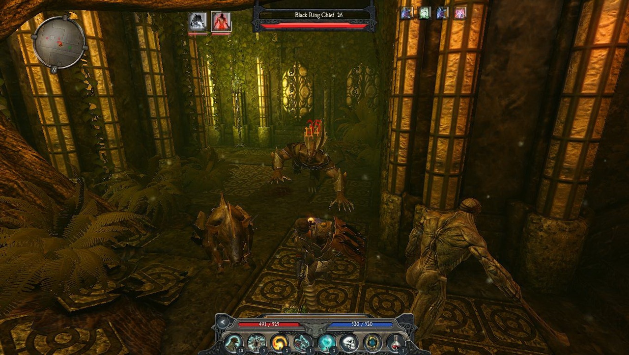 Скриншот из игры Divinity 2: Ego Draconis - 138