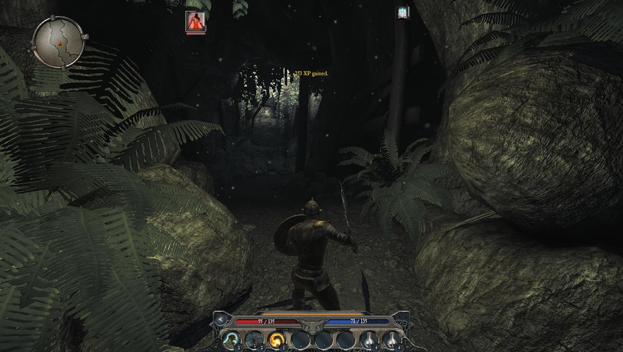 Скриншот из игры Divinity 2: Ego Draconis - 114