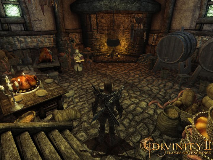 Скриншот из игры Divinity 2: The Dragon Knight Saga - 56