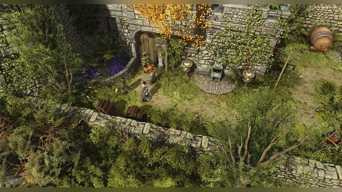 Скриншот из игры Divinity: Original Sin 2 - 43