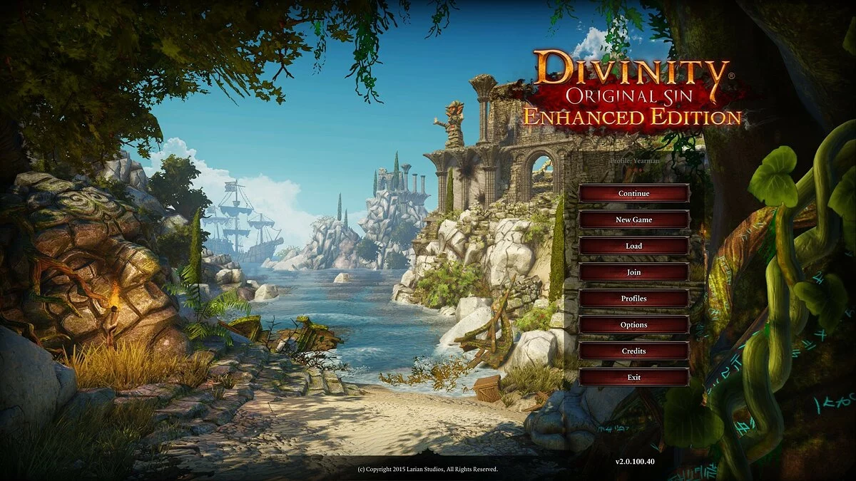 Скриншот из игры Divinity: Original Sin Enhanced Edition - 21