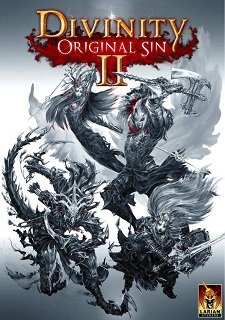 Обложка игры Divinity: Original Sin II