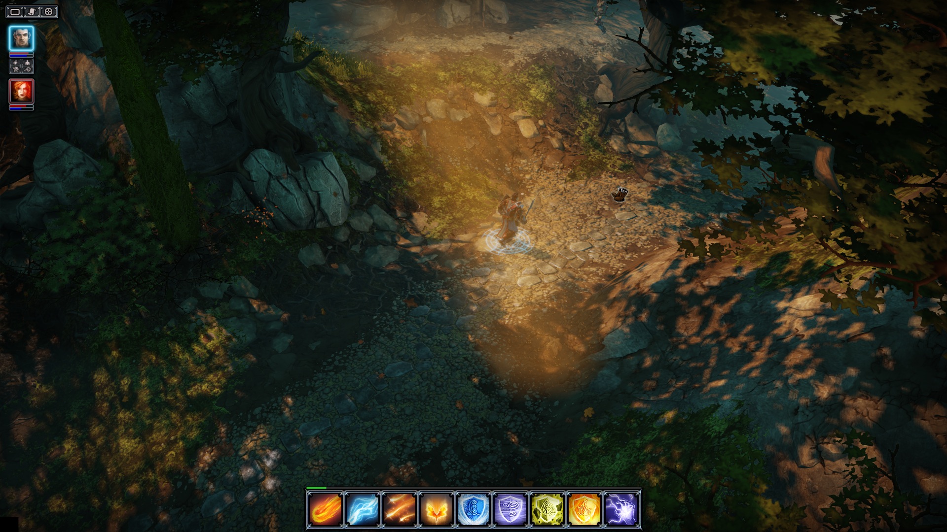 Скриншот из игры Divinity: Original Sin - 185