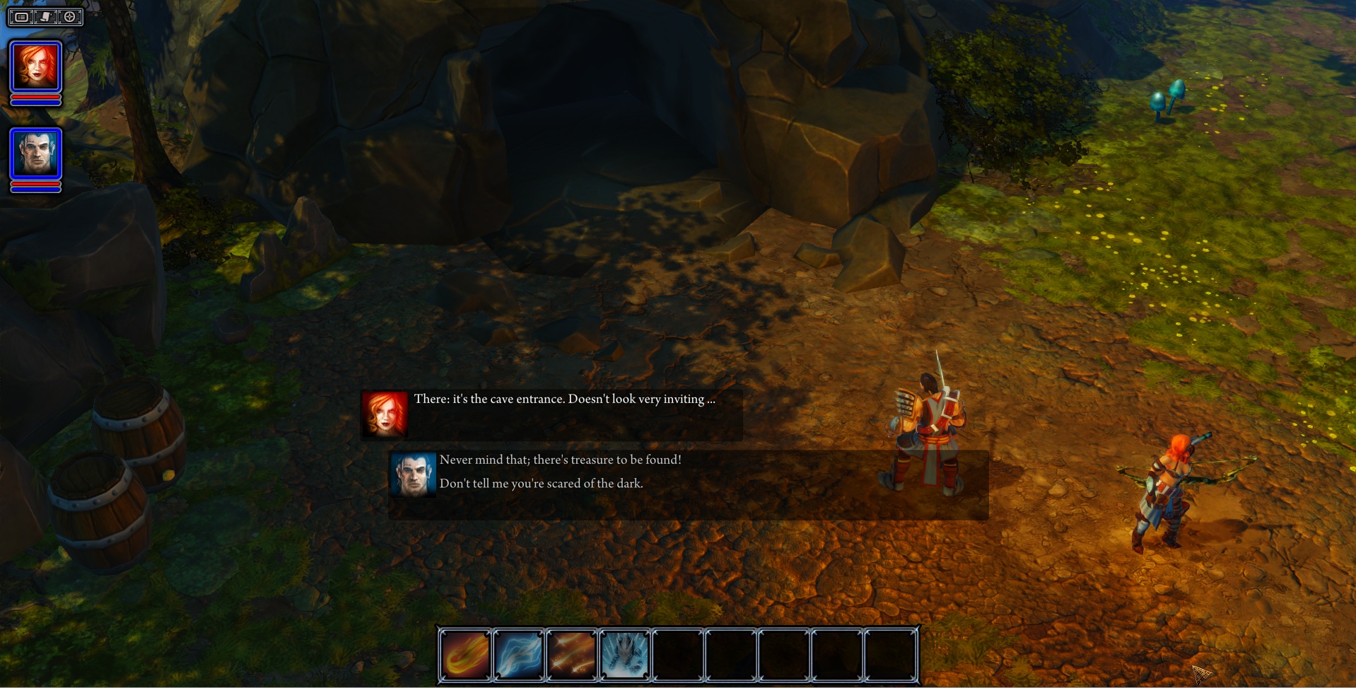 Скриншот из игры Divinity: Original Sin - 69