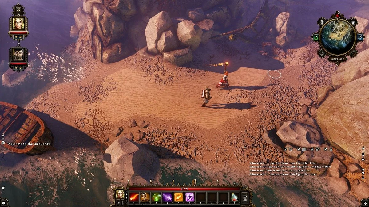 Скриншот из игры Divinity: Original Sin - 73