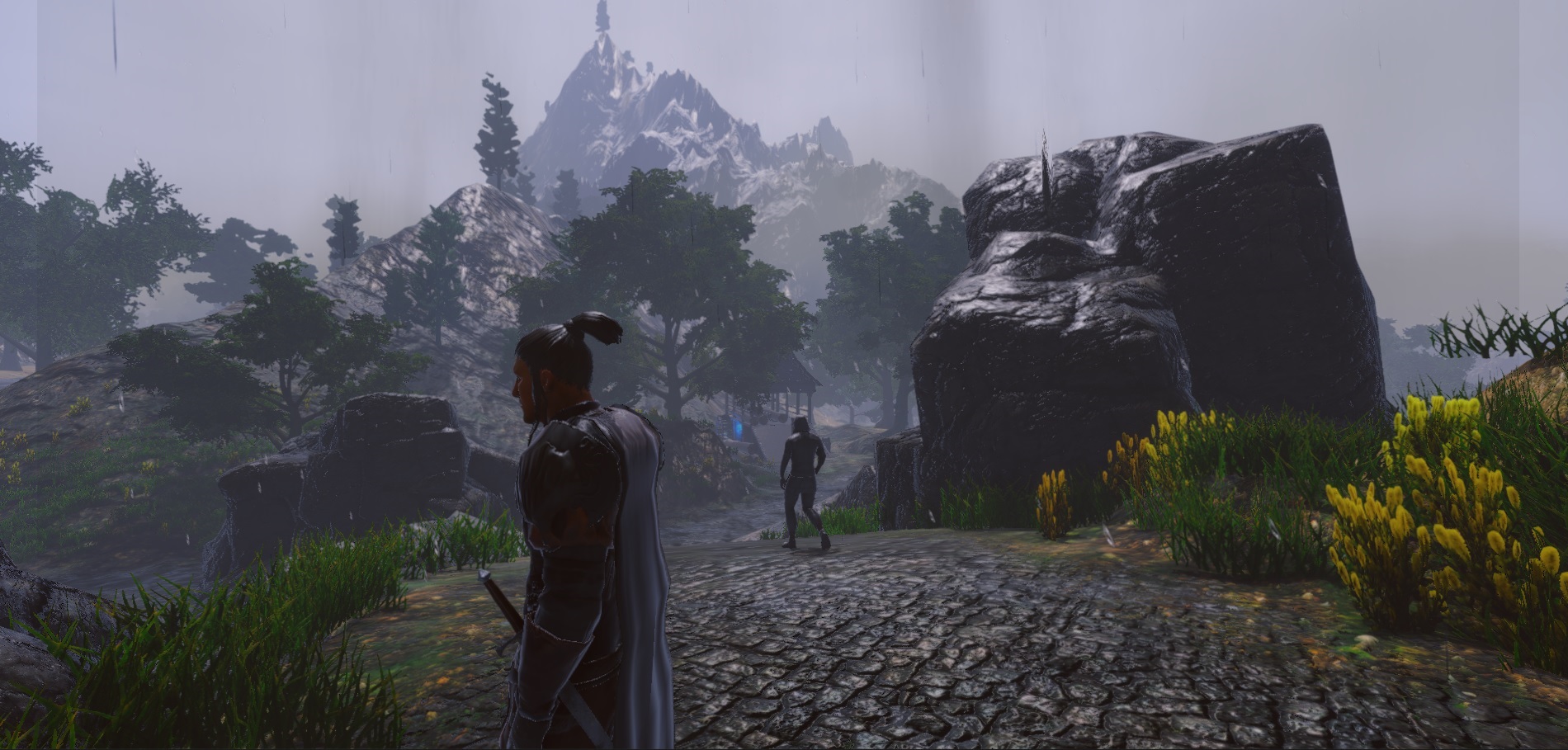 Скриншот из игры Legends of Ellaria - 34