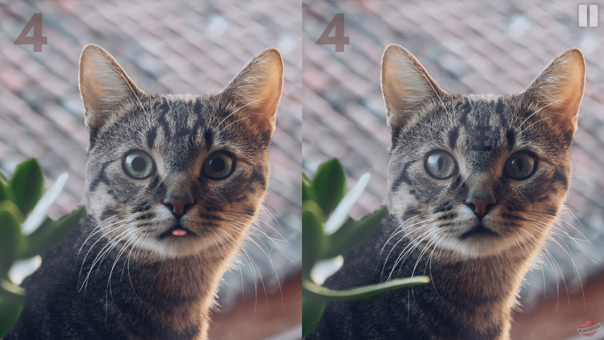 Скриншот из игры Art Diff - 5