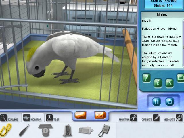 Скриншот из игры Pet Pals: New Leash on Life - 8