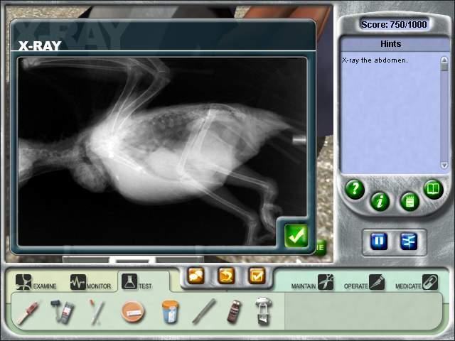 Скриншот из игры Zoo Vet - 21
