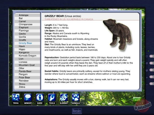 Скриншот из игры Zoo Vet - 27