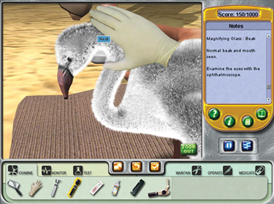 Скриншот из игры Zoo Vet - 44