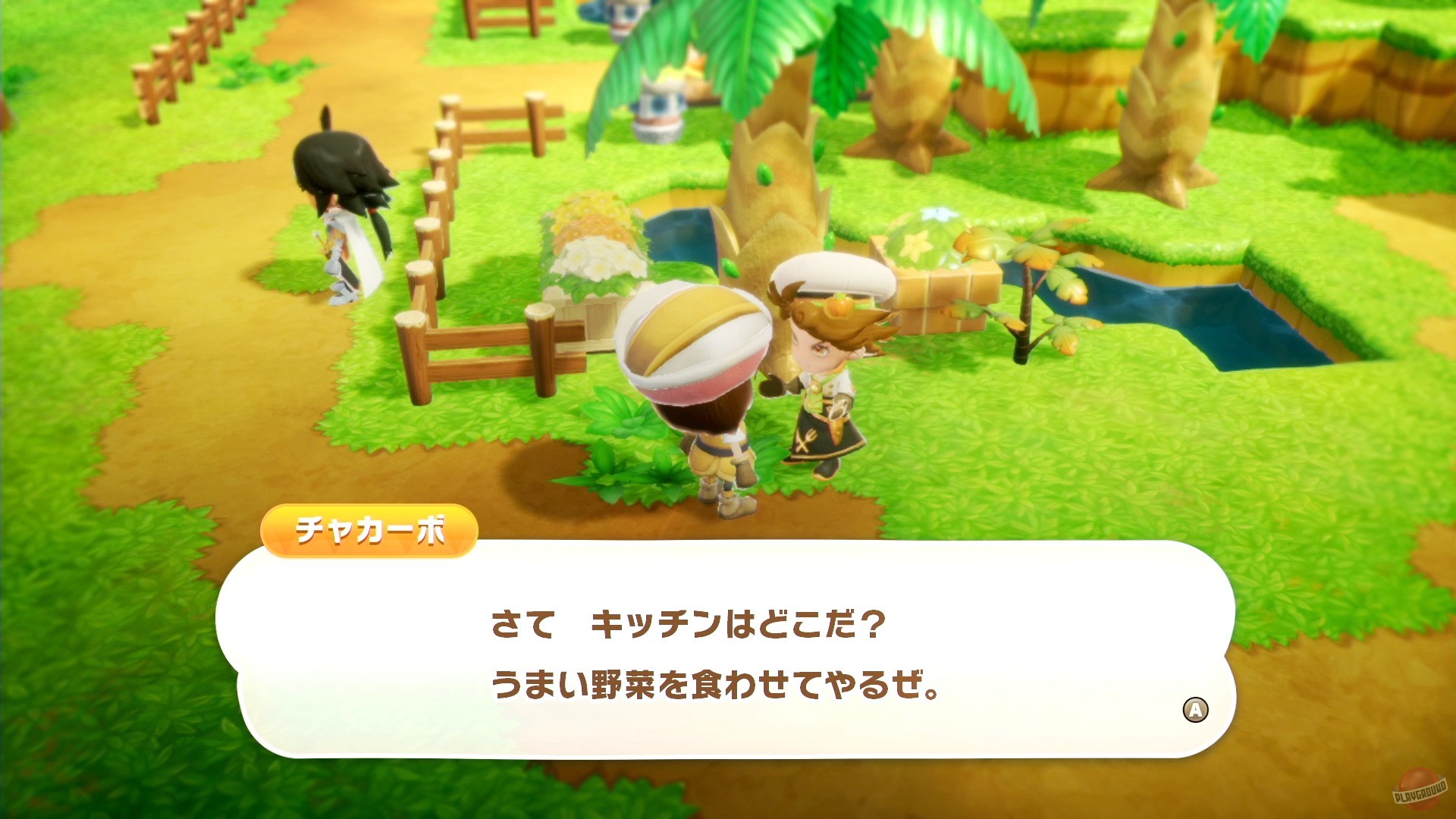 Скриншот из игры Fantasy Life i: The Girl Who Steals Time - 9