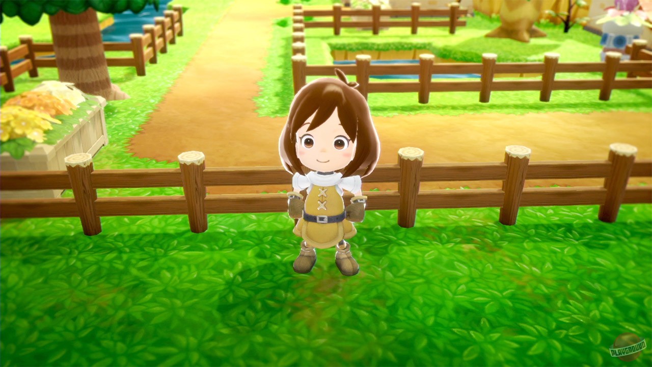 Скриншот из игры Fantasy Life i: The Girl Who Steals Time - 31