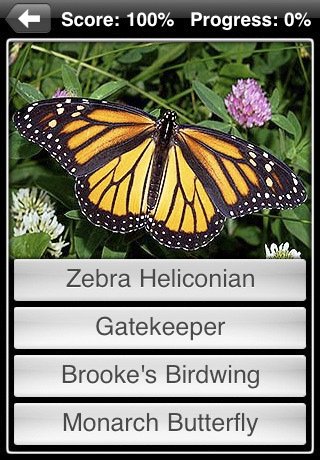 Скриншот из игры Butterflies! - 1