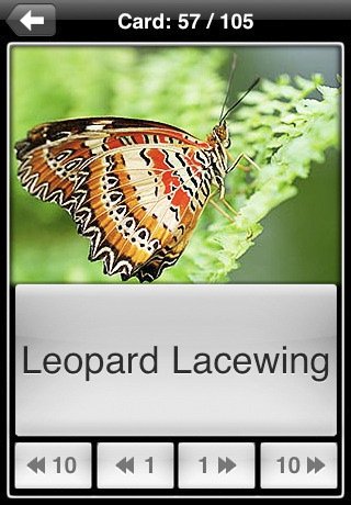 Скриншот из игры Butterflies! - 2