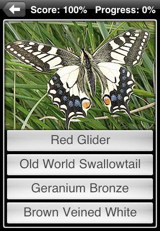 Скриншот из игры Butterflies! - 4