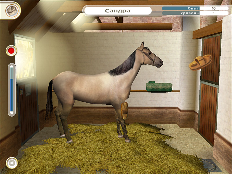 Скриншот из игры Pippa Funnell: The Stud Farm Inheritance - 15