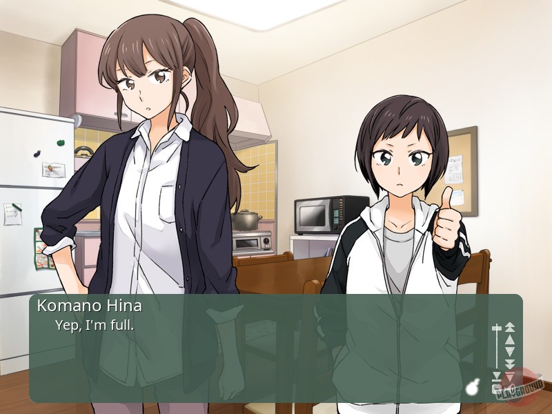 Скриншот из игры Kindred Spirits on the Roof - 16