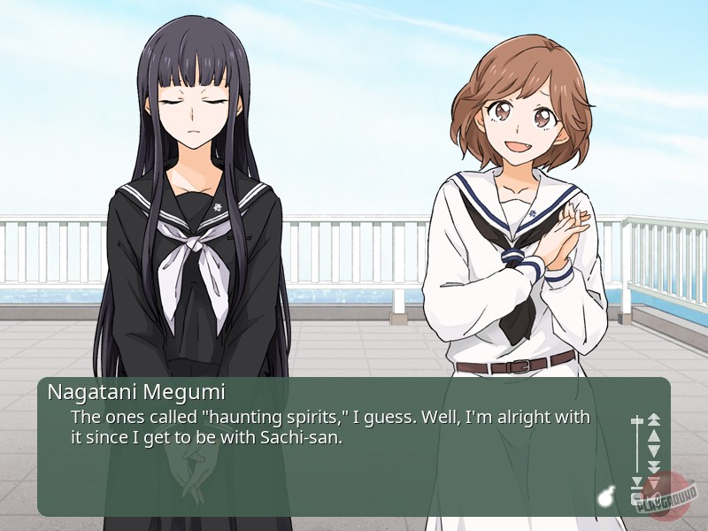 Скриншот из игры Kindred Spirits on the Roof - 32