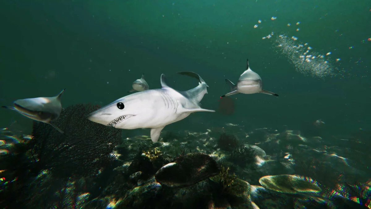 Скриншот из игры Death in the Water 2 - 33