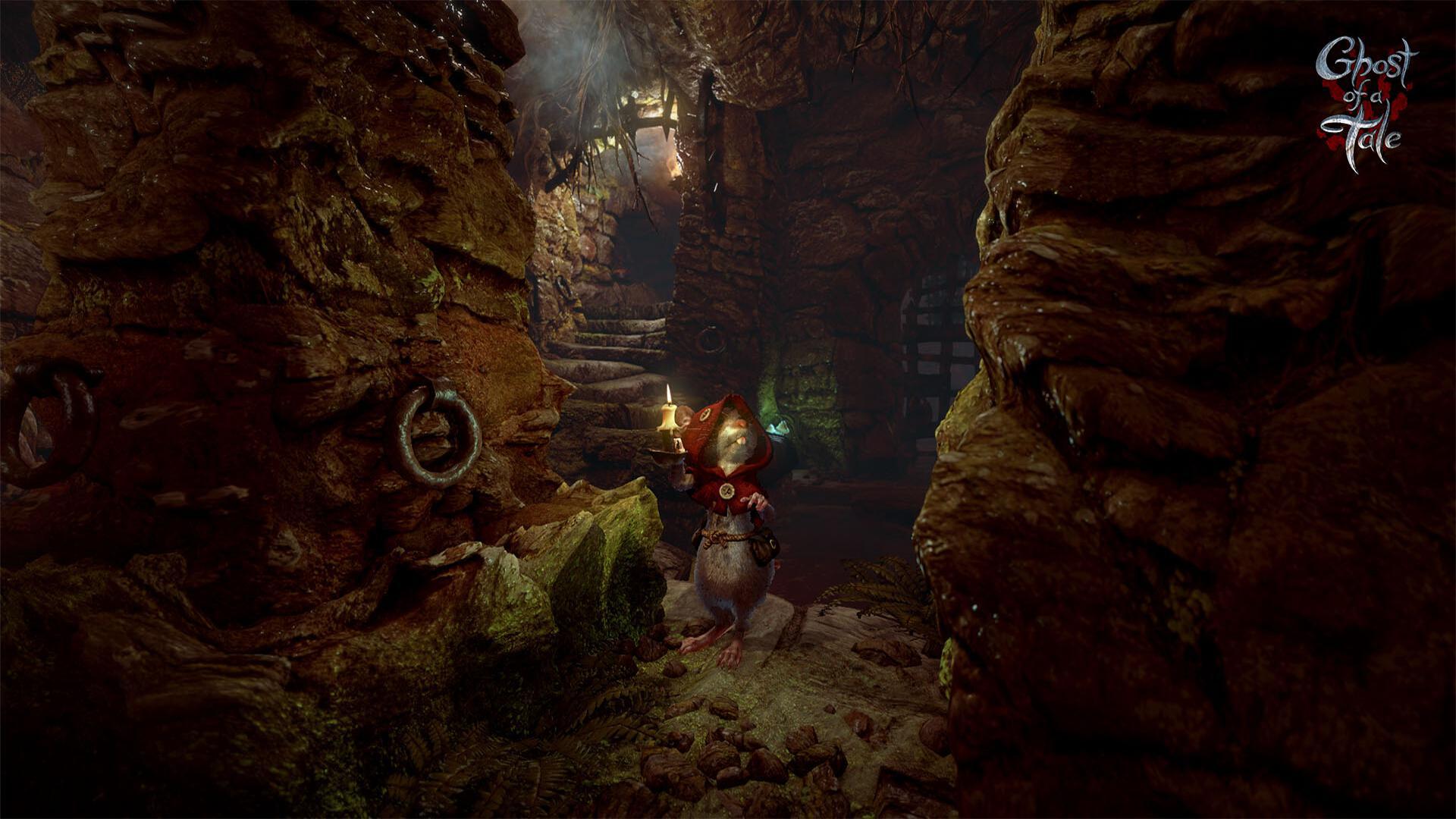 Скриншот из игры Ghost of a Tale - 48