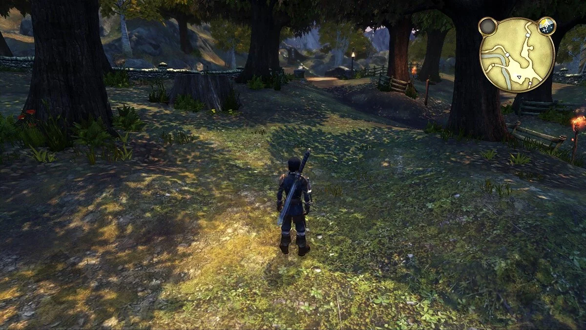 Скриншот из игры Fable Anniversary - 31
