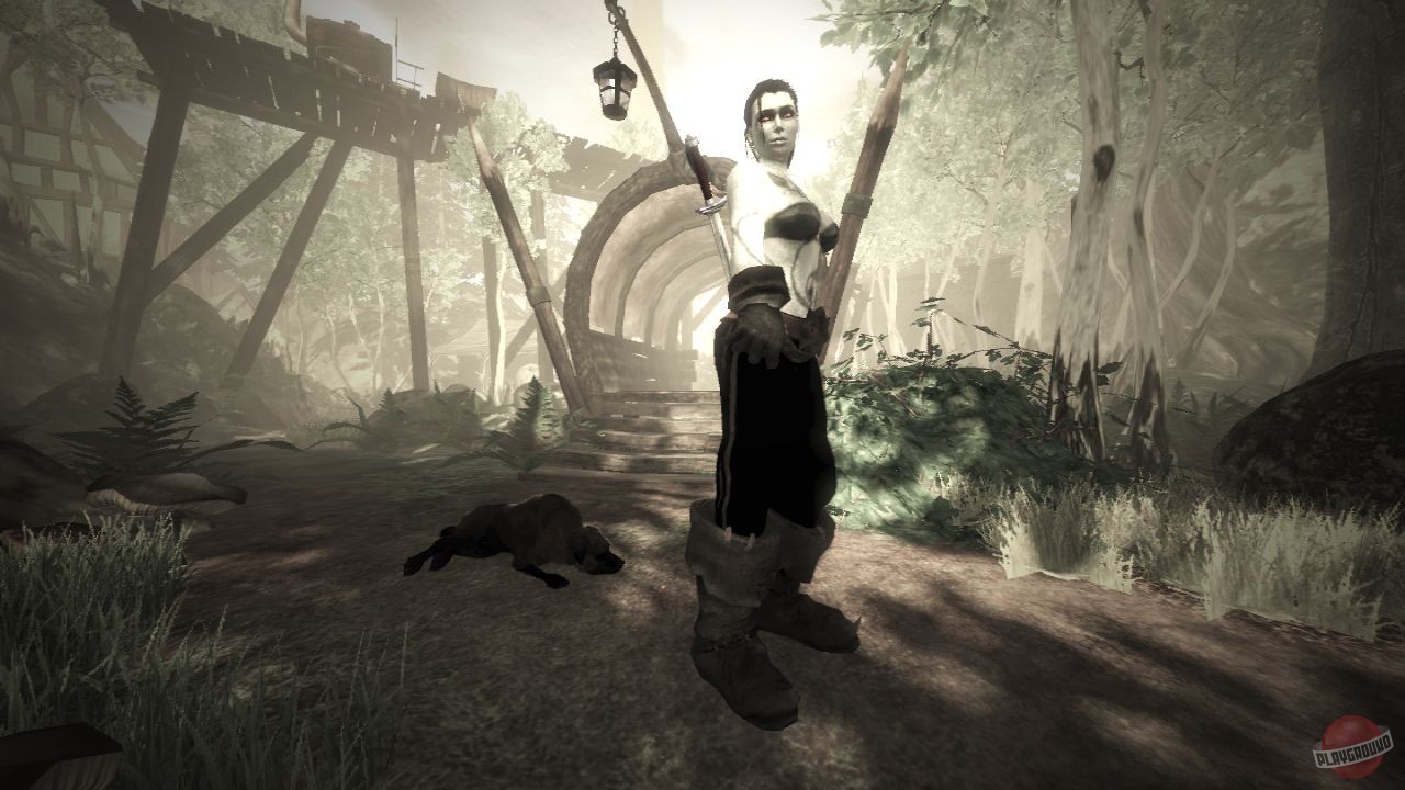 Скриншот из игры Fable 2 - 36