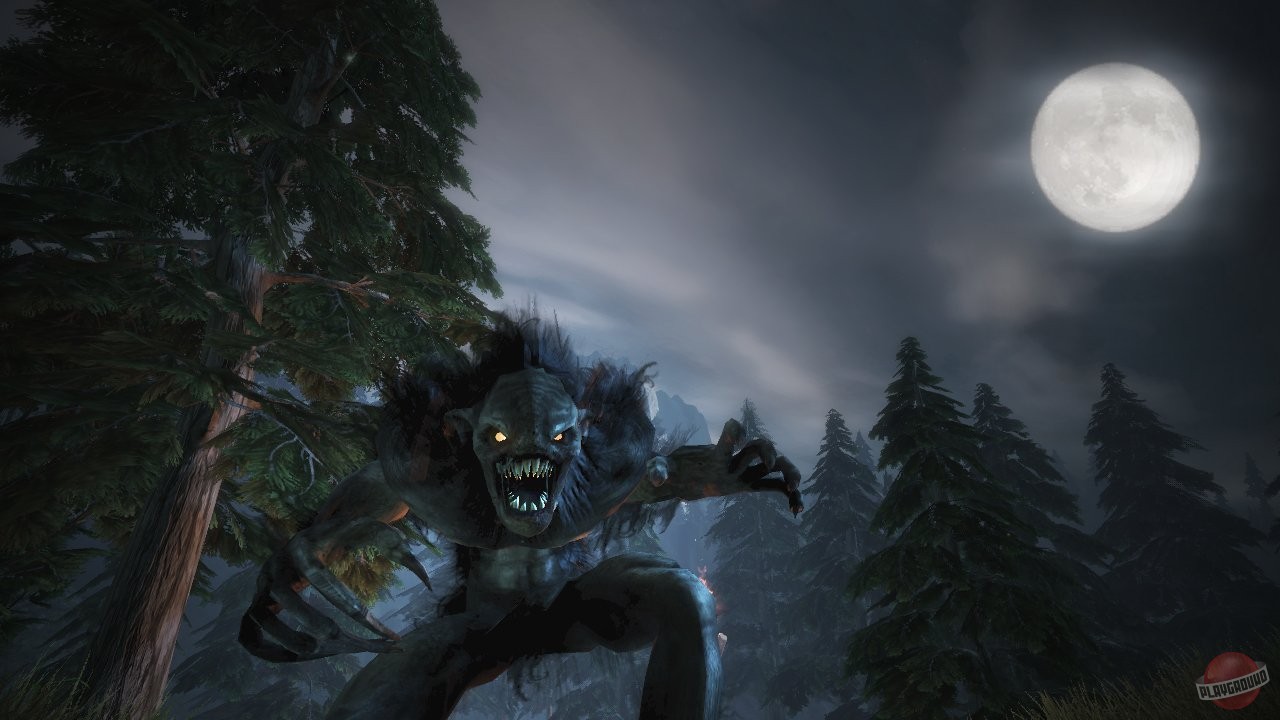 Скриншот из игры Fable 2 - 14