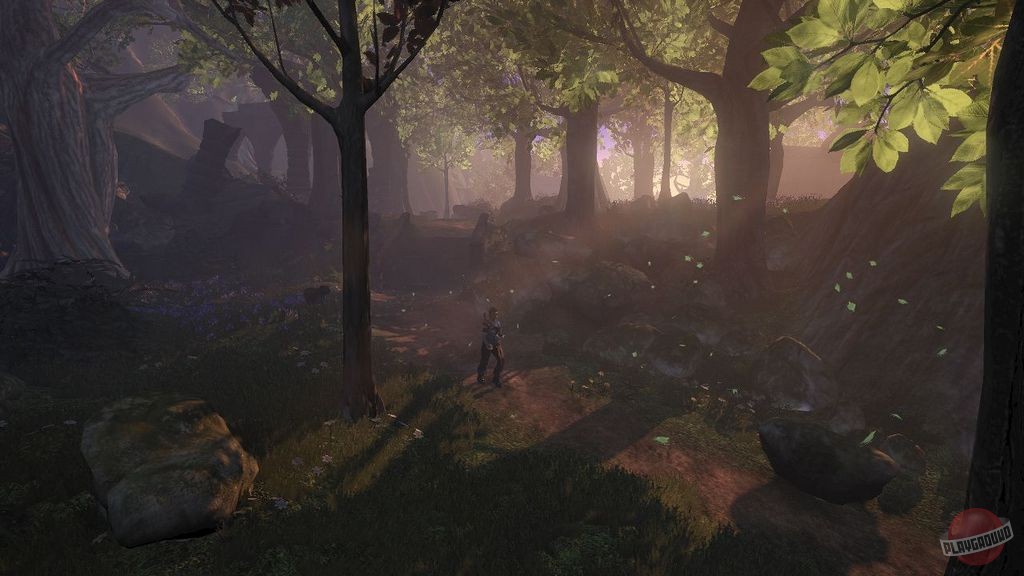 Скриншот из игры Fable 2 - 12
