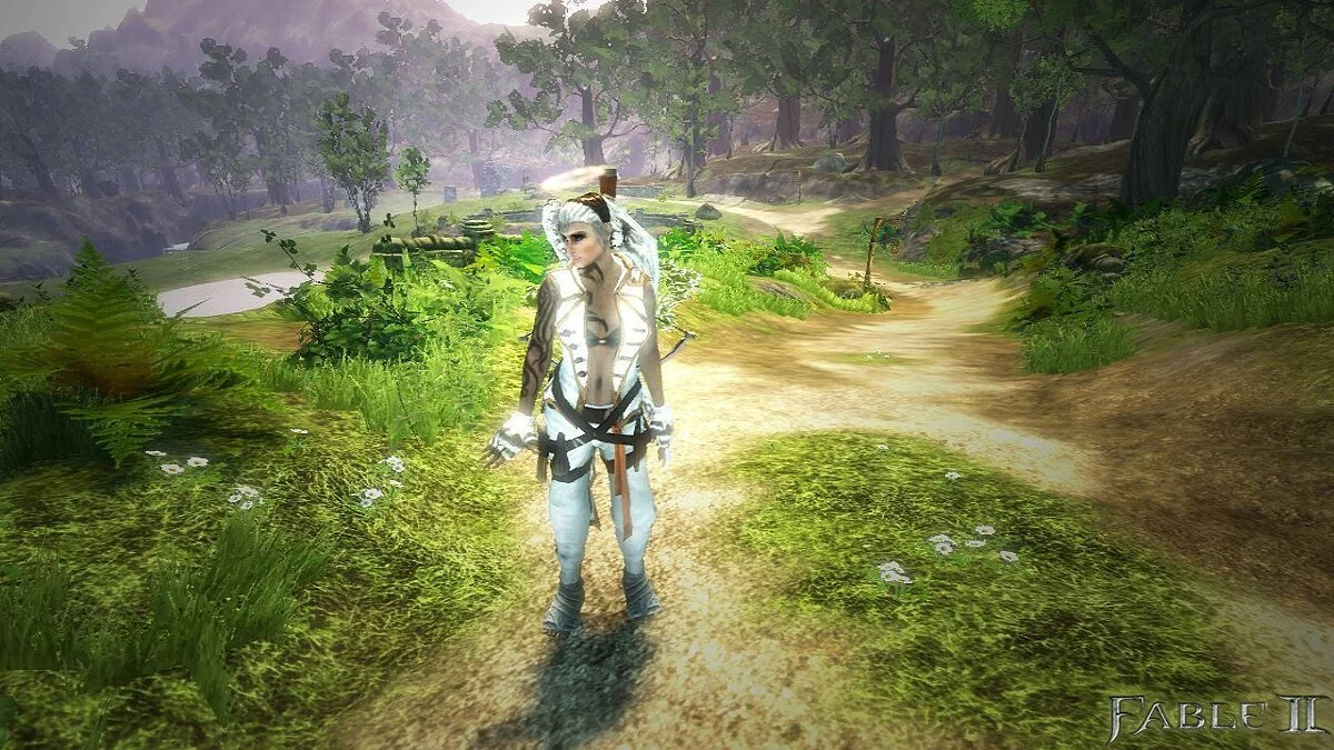 Скриншот из игры Fable 2 - 7