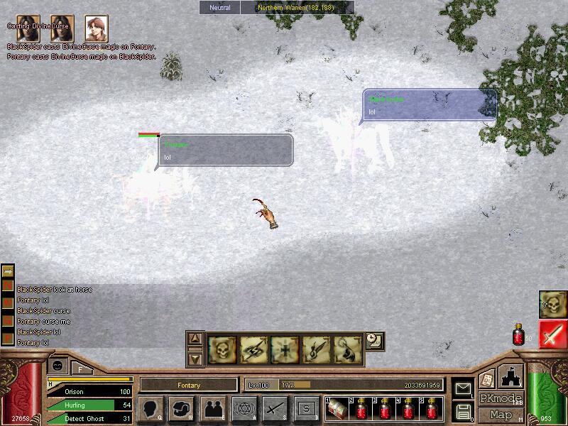 Скриншот из игры Dragon Raja - 23