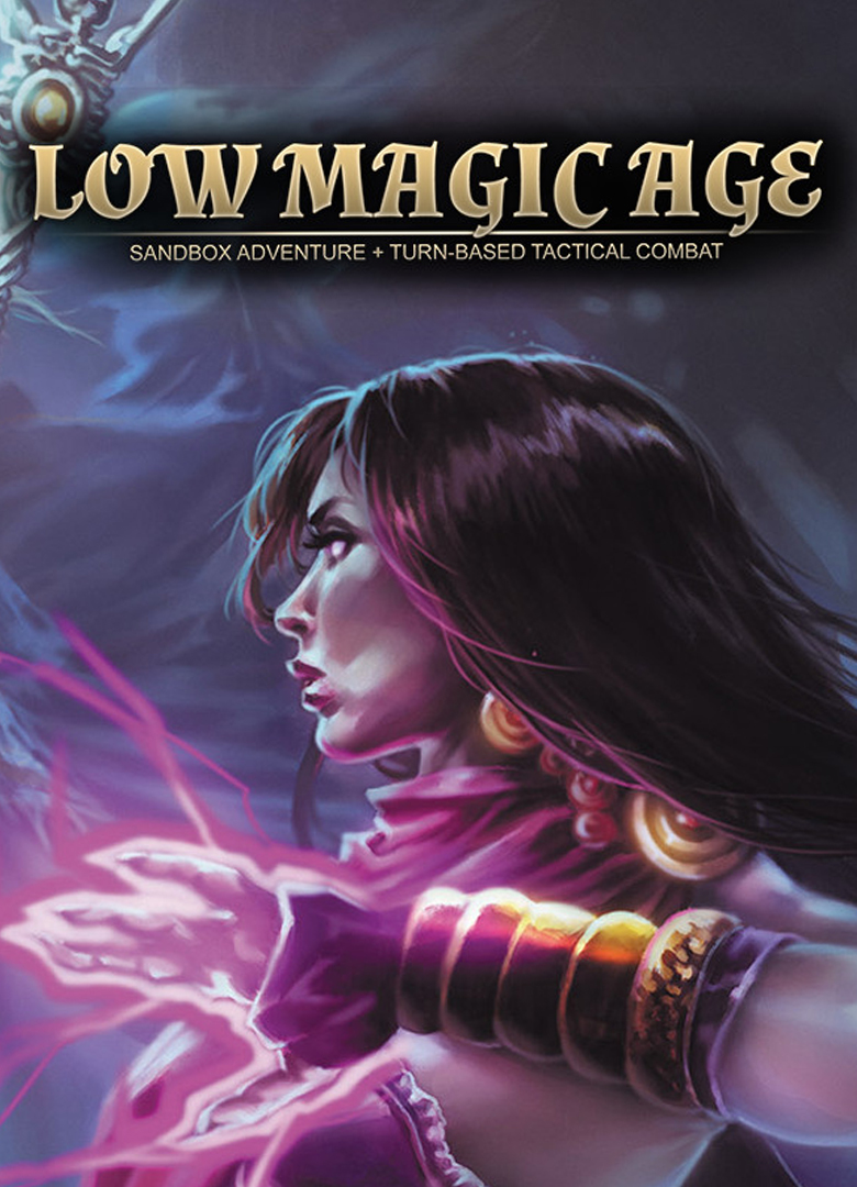 Обложка игры Low Magic Age